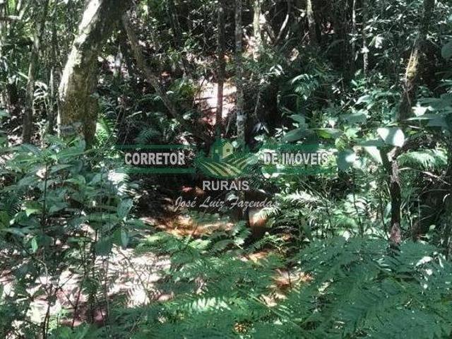 Rurais à venda Na Zona Rural