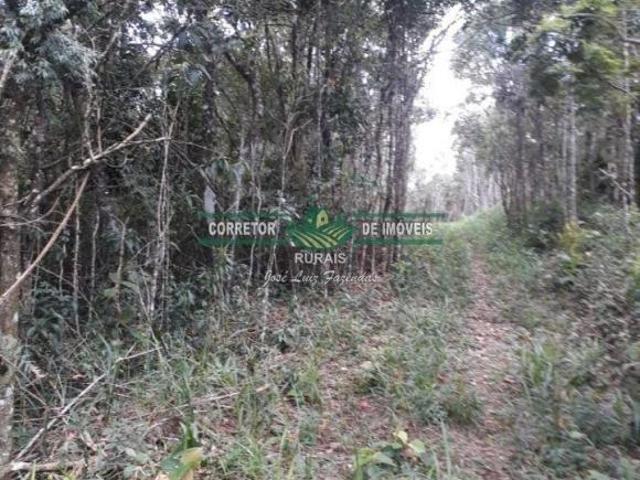 Rurais à venda na Zona Rural
