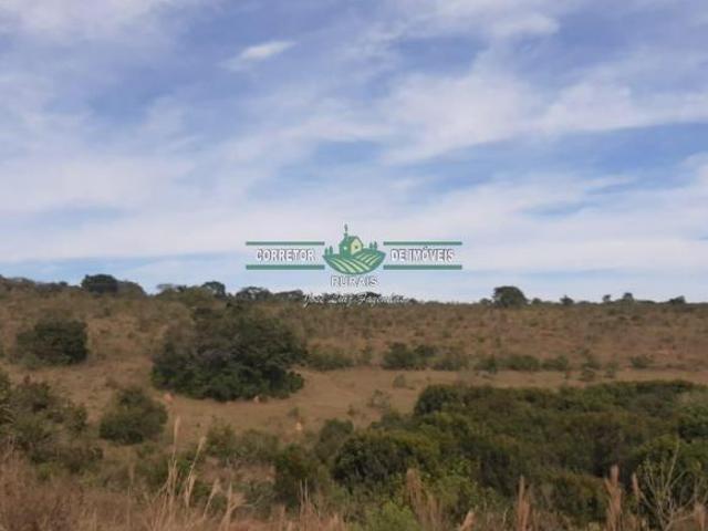 Rurais à venda na Zona Rural