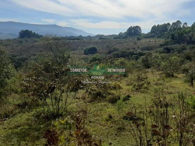 Rurais à venda na Zona Rural