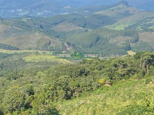 Rurais à venda Na Zona Rural