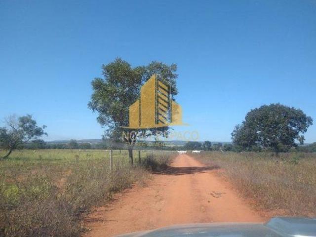 Rurais à venda na Zona Rural