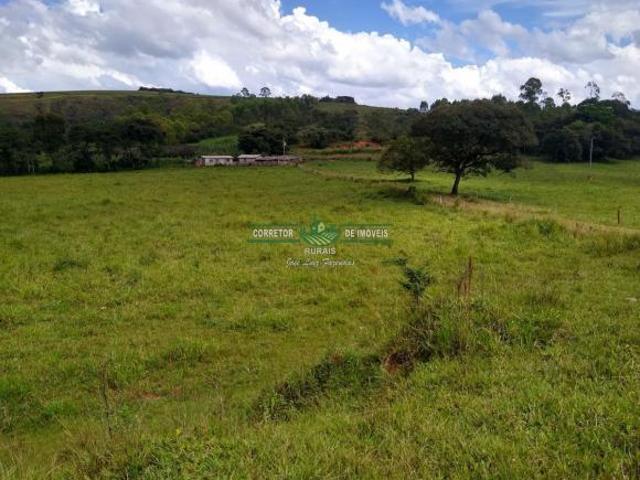 Rurais à venda na Zona Rural