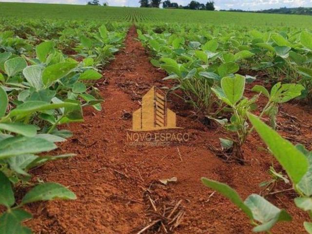 Rurais à venda na Zona Rural