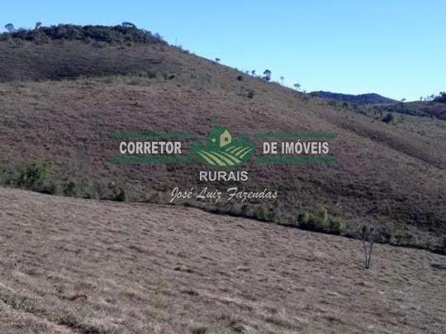 Rurais à venda na Zona Rural