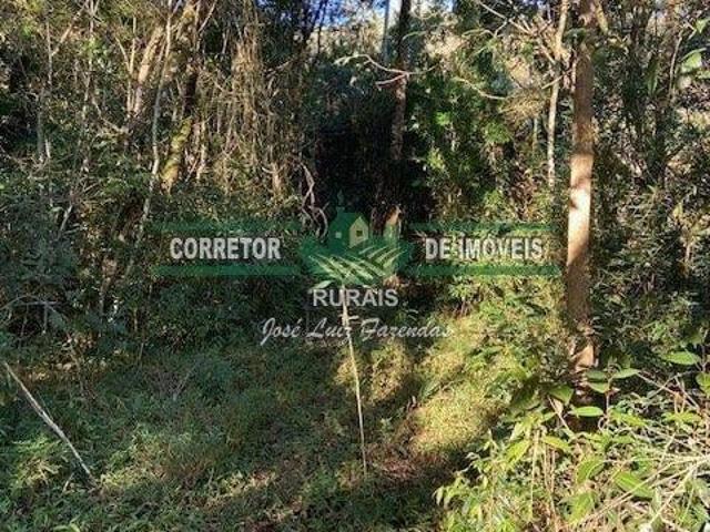 Rurais à venda Na Zona Rural