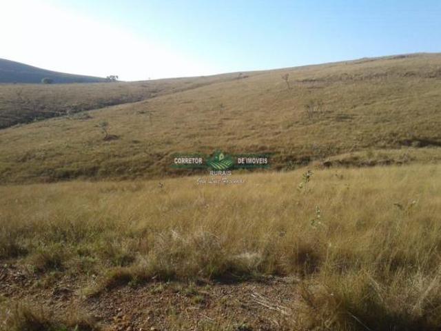 Rurais à venda na Zona Rural