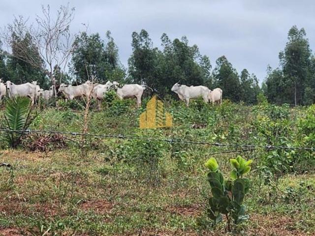 Rurais à venda na Zona Rural