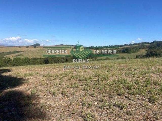 Rurais à venda na Zona Rural