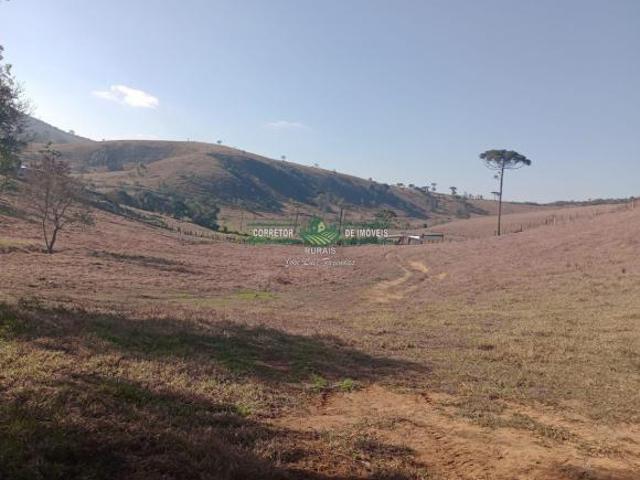 Rurais à venda na Zona Rural