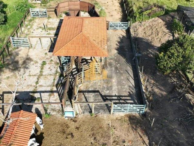 Rurais à venda na Zona Rural