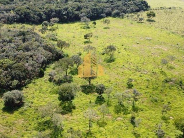 Rurais à venda na Zona Rural