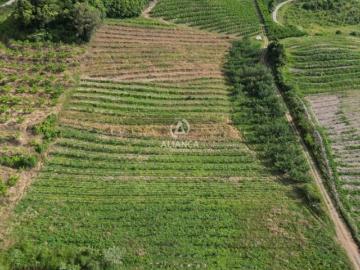 Rurais à venda na Zona Rural