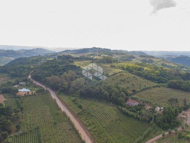 Rurais à venda no Vale dos Vinhedos