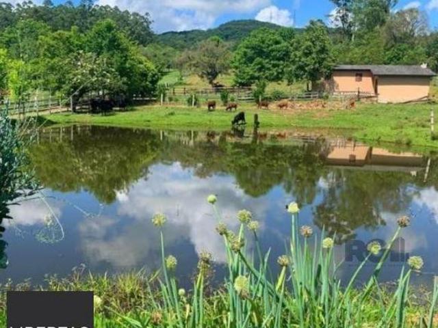 Rurais à venda no Centro