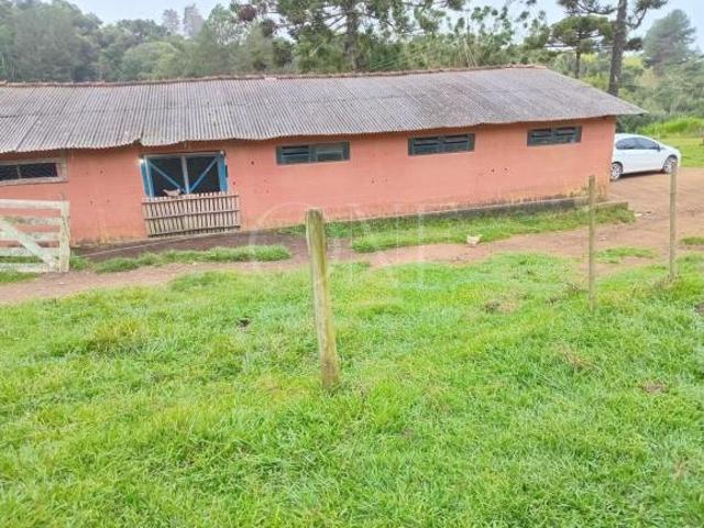 Rurais à venda no Centro