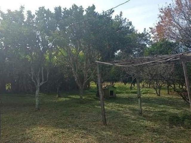 Rurais à venda no Centro