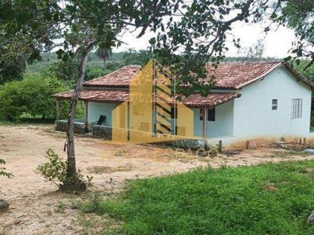 Rurais à venda no Centro