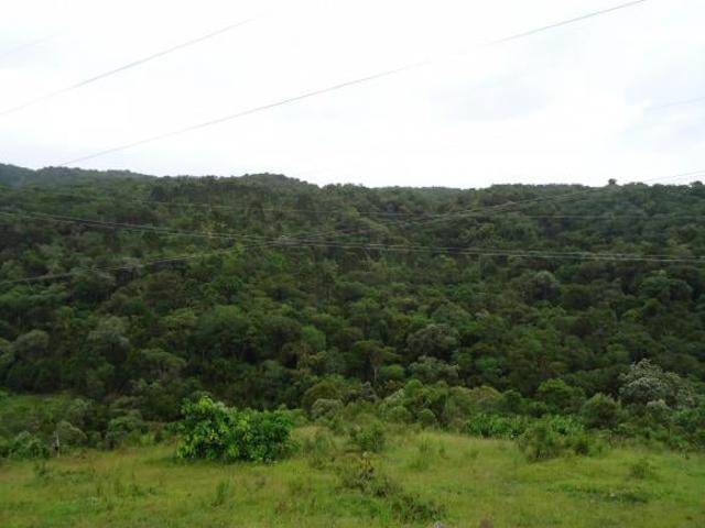 Rurais à venda no Centro