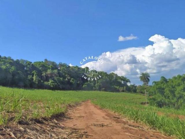 Rurais à venda no Centro