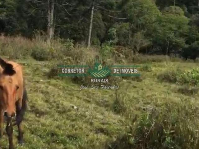 Rurais à venda no Centro