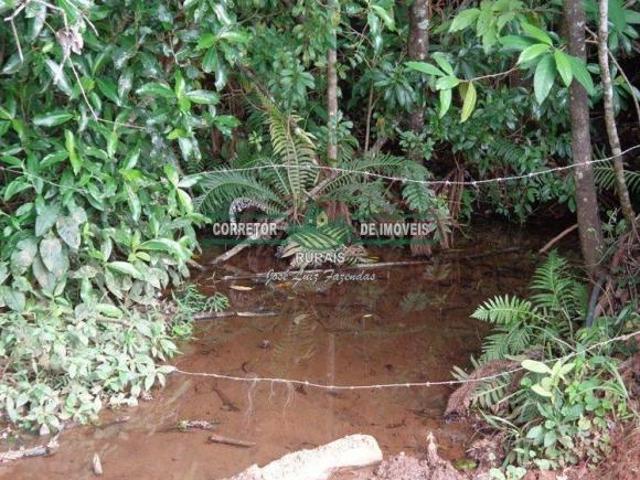 Rurais à venda no Centro