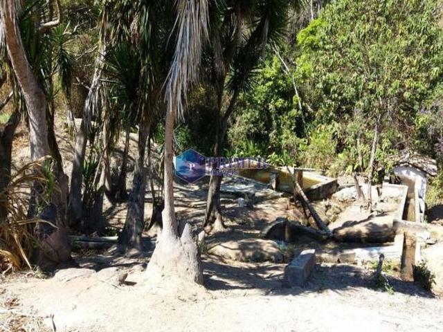 Rurais à venda no Centro