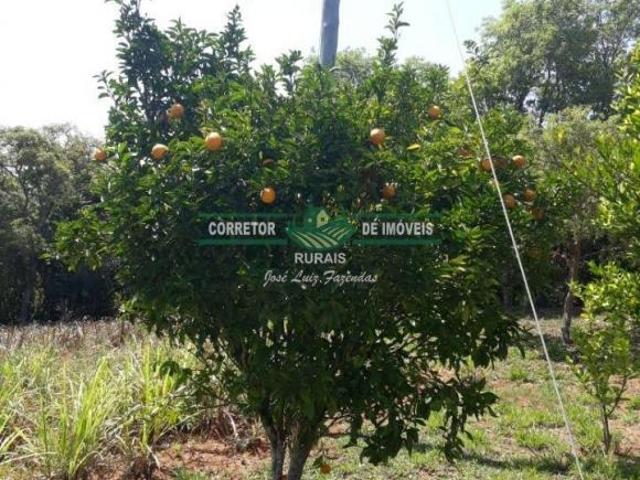 Rurais à venda no Centro