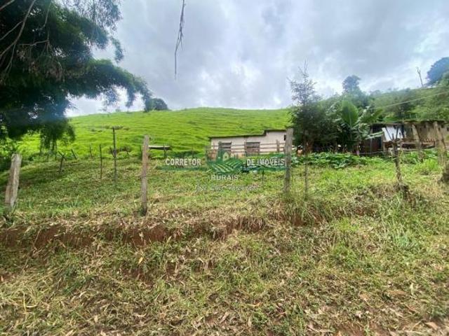 Rurais à venda no Centro