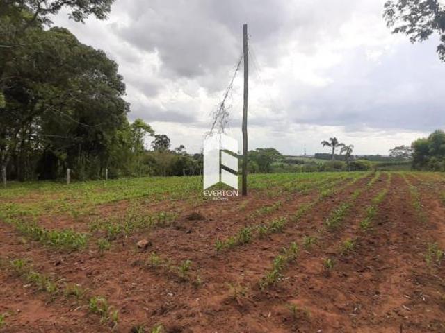 Rurais à venda no Centro