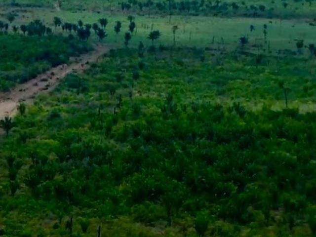 Rurais de 4600 ha en Venda na Zona Rural