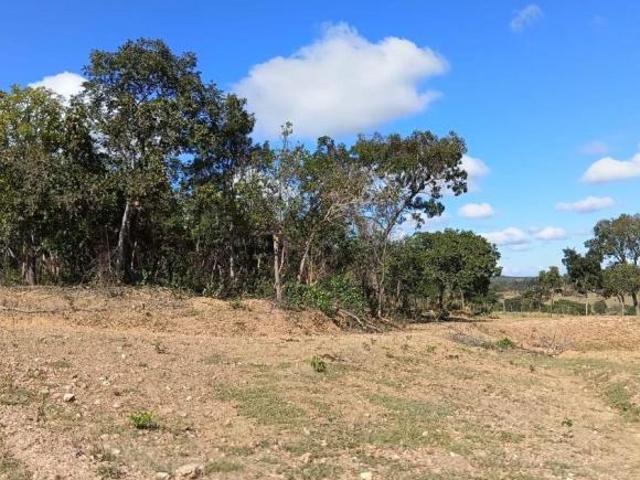 Rurais de 709 ha a venda em Santana de Pirapama