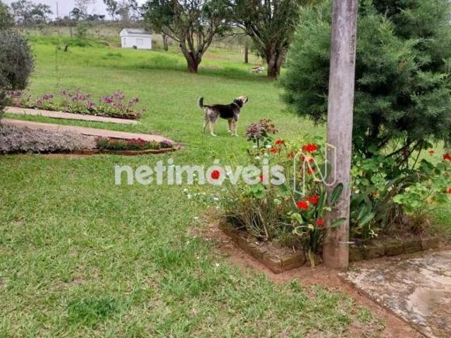Rural à Venda, Campolide Zona Urbana de Antonio Carlos, Antônio Carlos