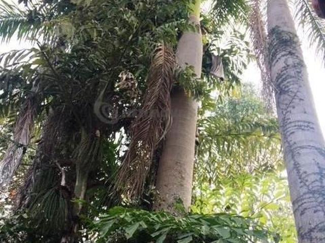 Rural à Venda, Parque Residencial Serra Azul, Juatuba