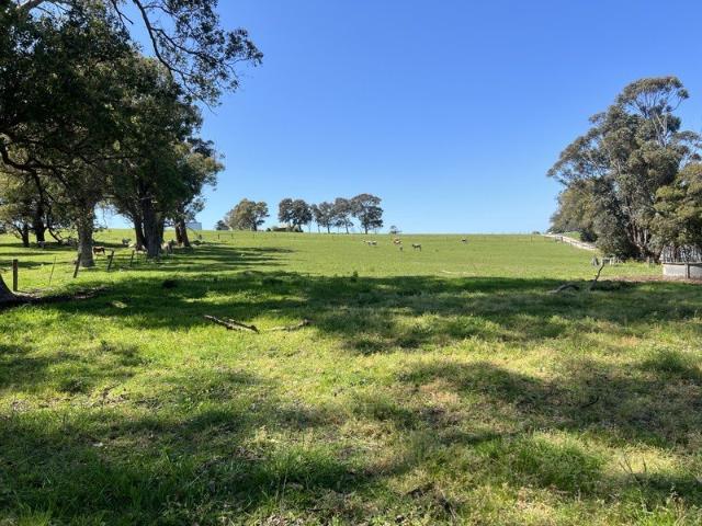 RURAL BEAUTY!
