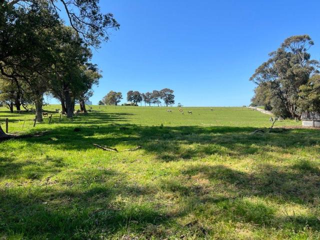 RURAL BEAUTY!