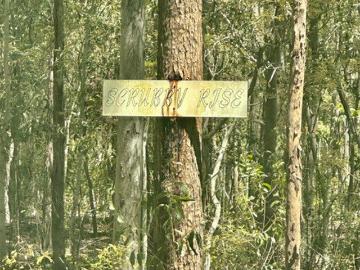 Rural BUSH Haven: OFF GRID LIVING 60 ac SCRUBBY RISE