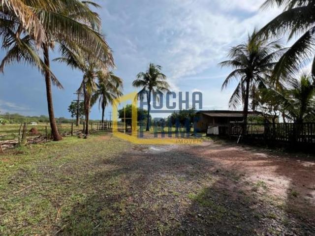 Rural Chácara em Ilha Solteira