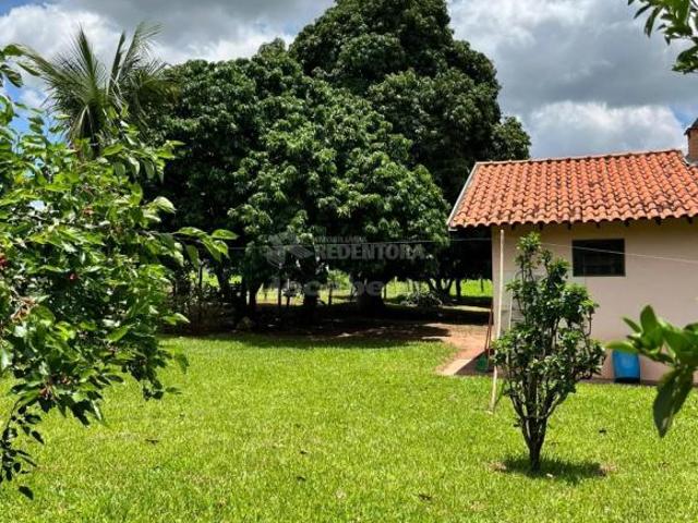 Chácara de 1,5 Alqueire com Área Gourmet e Pomar
