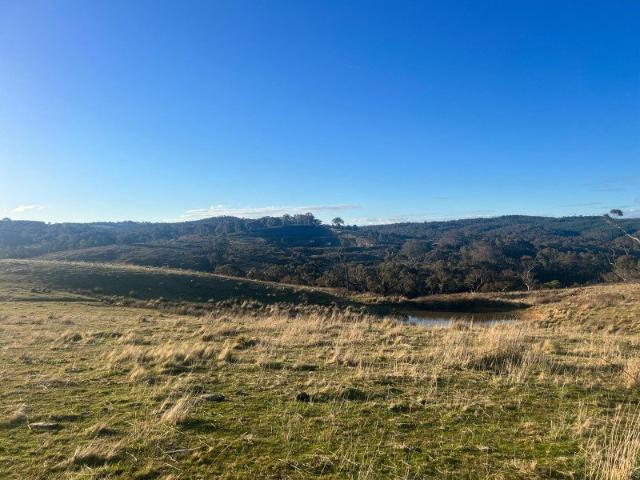 Rural elevated land sweeping views great weekender 10k to Blaney NSW