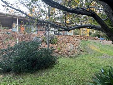 Rural feel with treetop vista