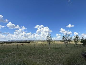 Booti Booti, Crawford River - Parking, Terrace