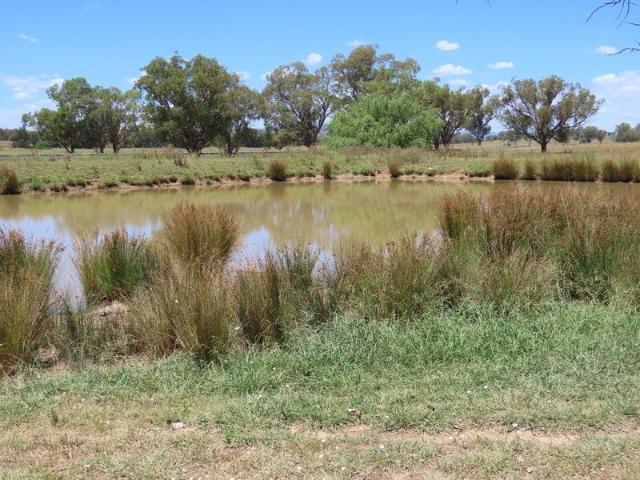 Rural lifestyle in sought after Timbumburi area