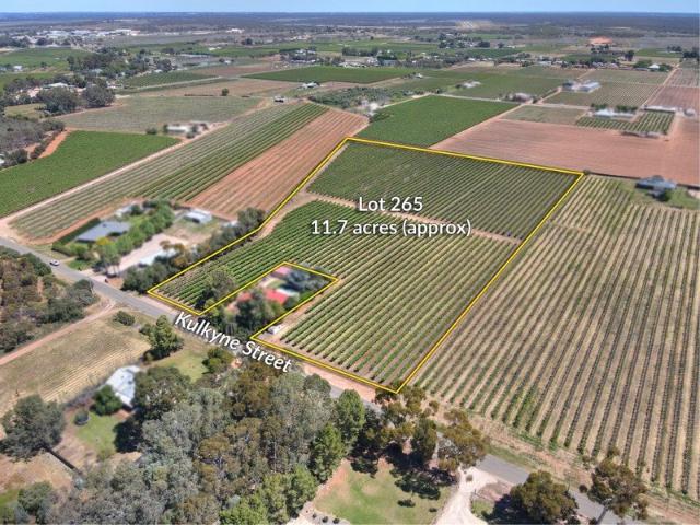 Rural Lifestyle Opportunity 11.7 Acres Close to Renmark