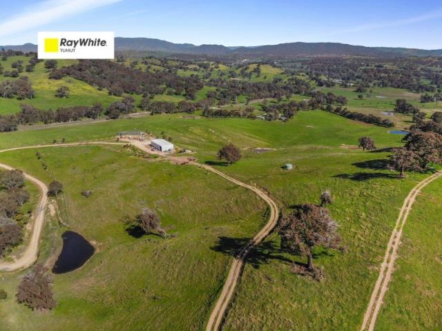 Rural Lifestyle Opportunity!