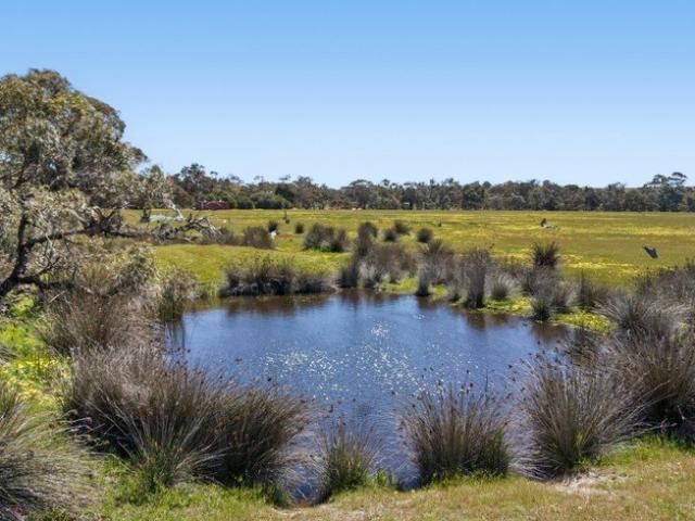 Rural Lifestyle Opportunity | 80 Acres approx. with Aspect to Great Western