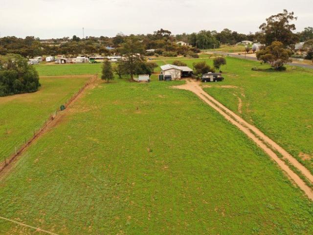 Rural Lifestyle Opportunity Close to Waikerie