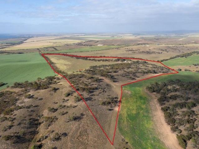 RURAL LIFESTYLE PROPERTY