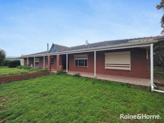Rural Lifestyle Rental Just 7 Minutes from Murray Bridge City Centre