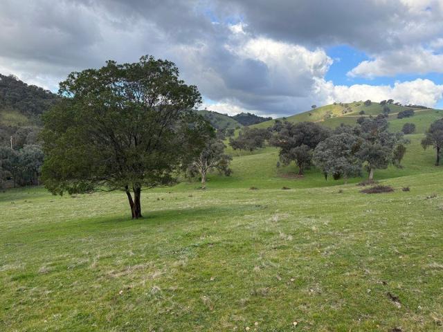 Rural lifestyle with amazing views!